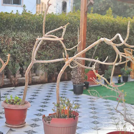 Auberge de jeunesse Backpackers
